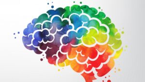 El color en el diseño: cómo influye en las decisiones de compra